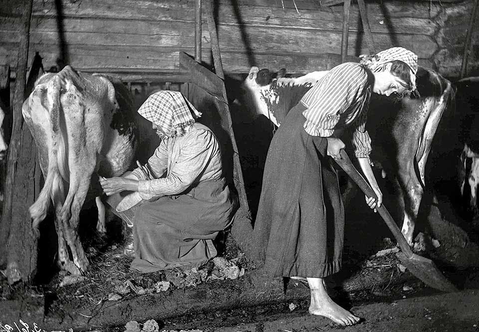Foto från Värmland, 1911